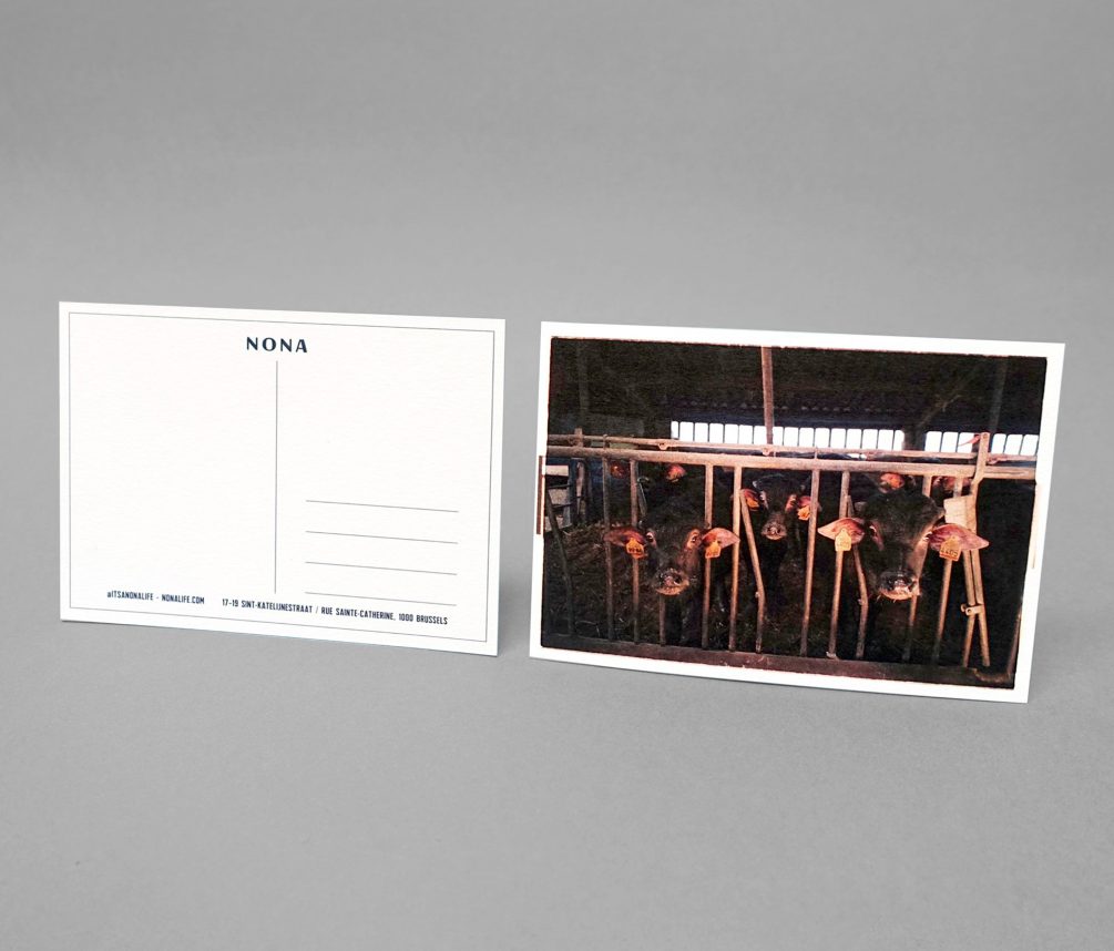 Carte-postale2 Carte-postale2